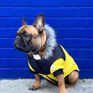 Canada Pooch True North Parka- NWT- Sz 14
